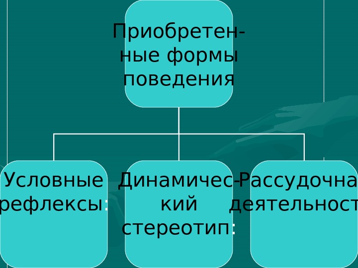 Презентация по биологии на тему поведение 6 класс