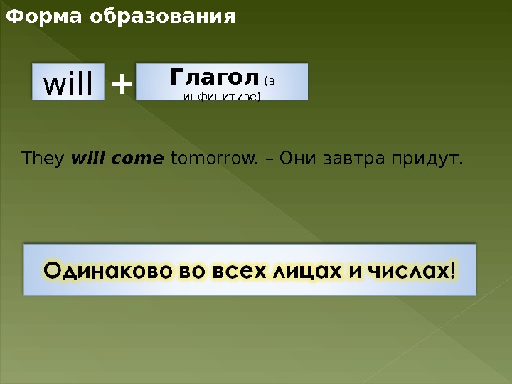 Come инфинитив. Вспомогательный глагол will. Will формы глагола. Третья форма глагола will. Краткая форма глагола will.