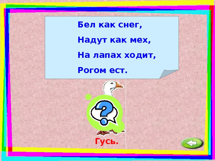 Загадка бел как вата. Бел как снег надут как мех на лопатах ходит. Белый как снег надутый как мех кто это. Загадка про гуся. Бел как снег на лопатах ходит.