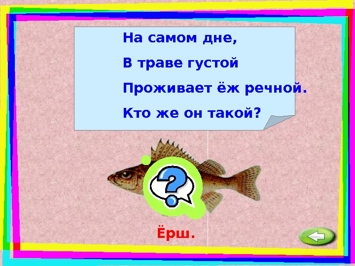 Сами сутки. Загадка на самом дне в траве густой проживает еж Речной кто он такой. На самом дне в траве густой проживает. На самом дне в траве густой отгадка. Загадка про ерша.