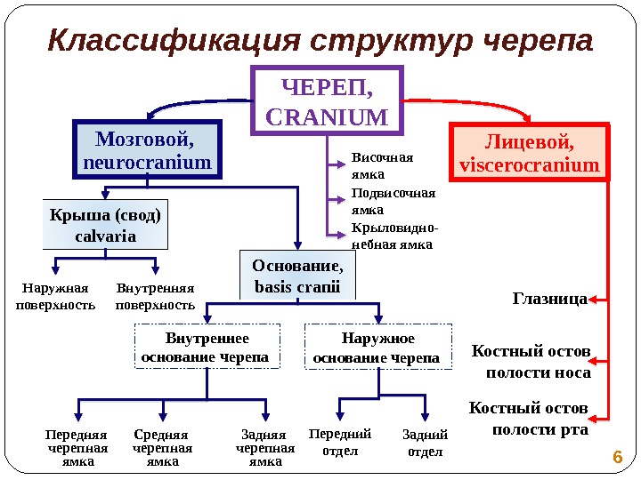 Классификация строений