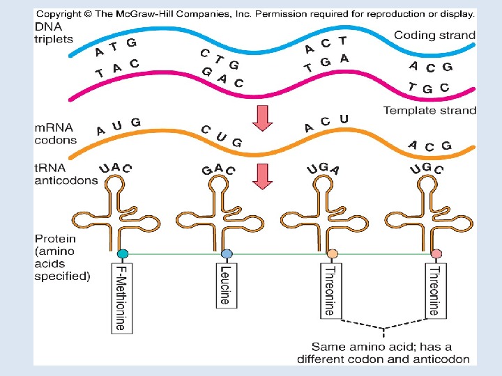 Microbial Genetics By Konrad T. Juszkiewicz MD, MPH