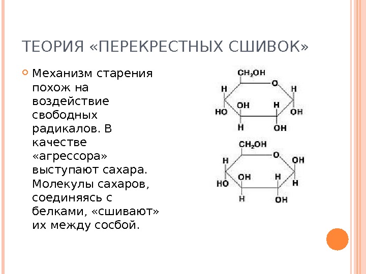 Презентация по гериатрии