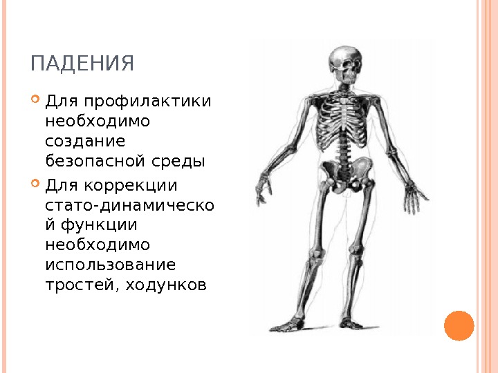 Презентация по гериатрии