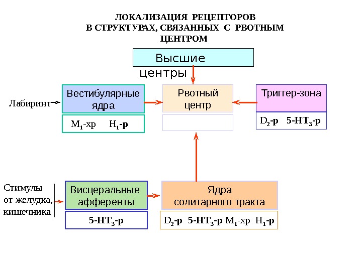 Связанные структуры. Триггерная зона рвотного центра рецепторы. Локализация серотониновых рецепторов. Триггерная зона рвотный центр. Локализация рвотного центра.