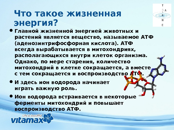 Какое значение имеет энергия. Энергия. Выработка энергии в организме. Эне. Что вырабатывает энергию в организме.