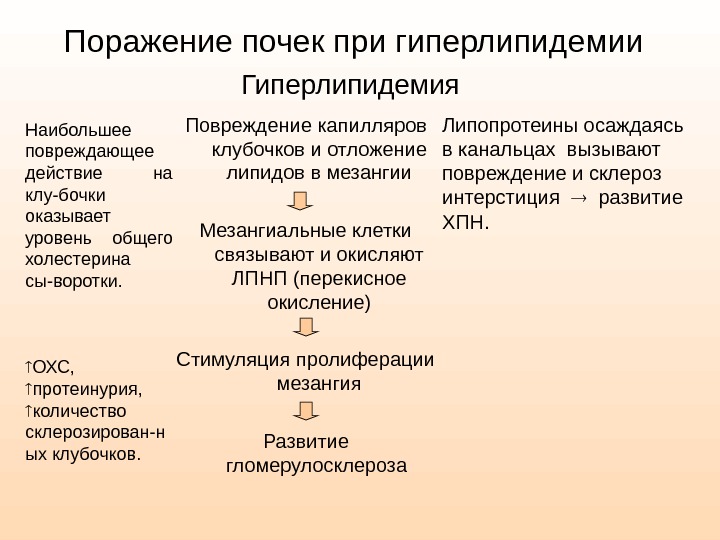 Смешанная гиперлипидемия что это за заболевания у человека фото с описанием