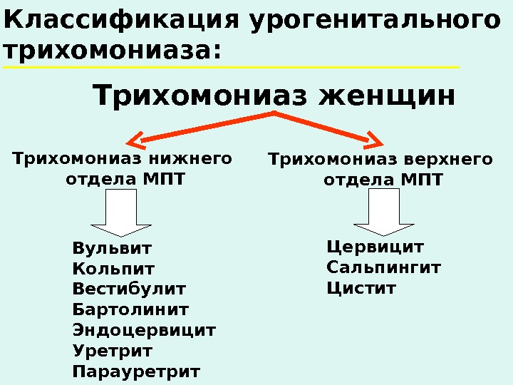 Урогенитальный трихомониаз презентация