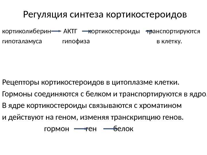 Актг гормон. АКТГ локализация рецептора. Регуляция синтеза кортикостероидов. Регуляция АКТГ. АКТГ гормон синтезируется.