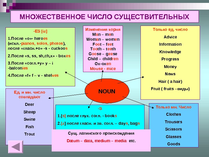 Фотография множественное число