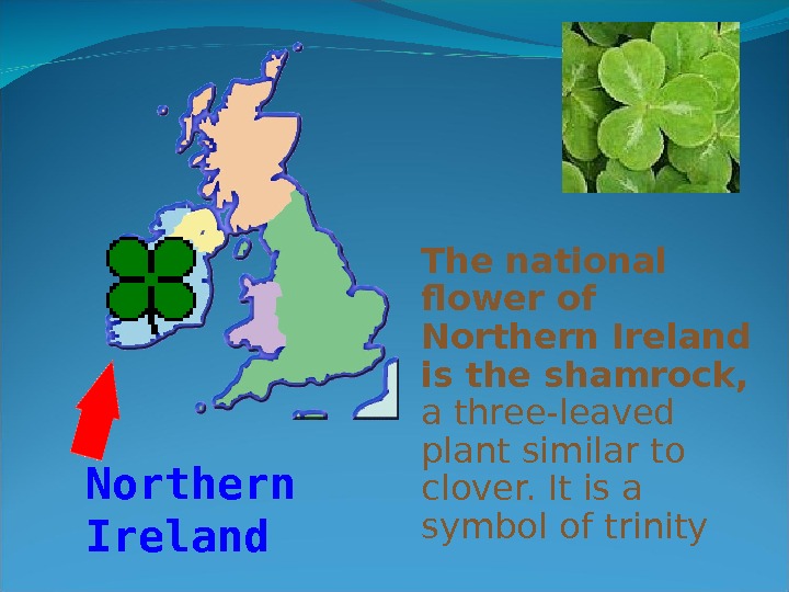 Northern ireland english. Северная Ирландия презентация. Тема Northern Ireland. Символ Северной Ирландии на английском.