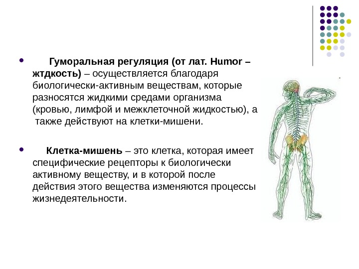 Гуморальная регуляция презентация 6 класс пасечник