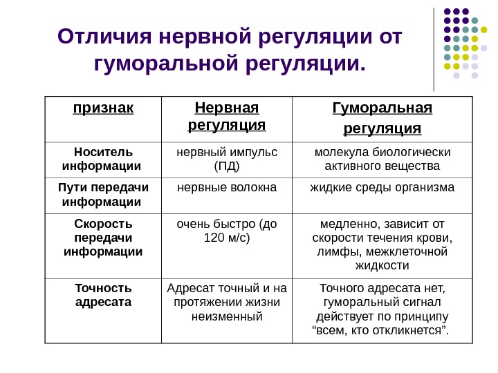 Гуморальная регуляция презентация 6 класс пасечник