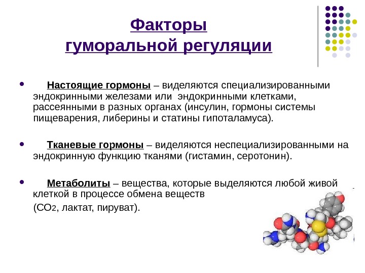 Гуморальная регуляция 6 класс презентация