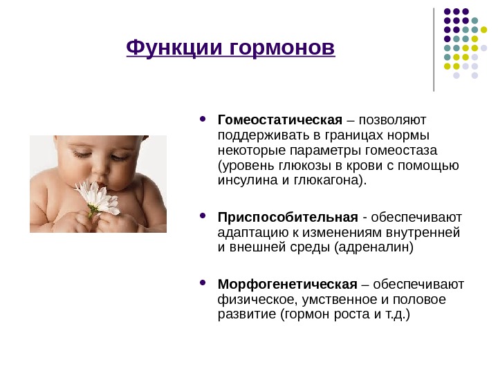 Гуморальная регуляция презентация 6 класс пасечник