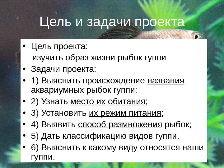 Рыба целей. Рыбы цели и задачи. Цель проекту аквариумные рыбки. Цель проекта рыбки. Цель проекта про рыб.