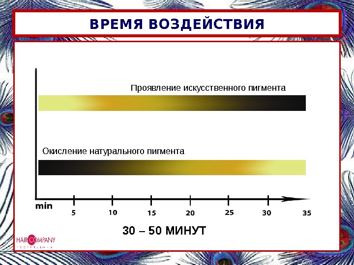 Влияние времени. Время воздействия. Шкала проявления красителя. Окисление натуральных пигментов волоса. График проявления пигмента.