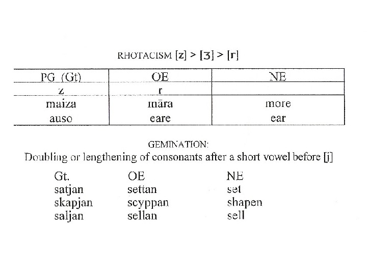 history-of-language