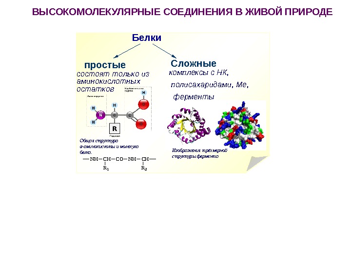 Сложное соединение белков. Низкомолекулярные соединения и высокомолекулярные соединения. Структура высокомолекулярных соединений. Белки сложные высокомолекулярные соединения. Примеры простых белков.
