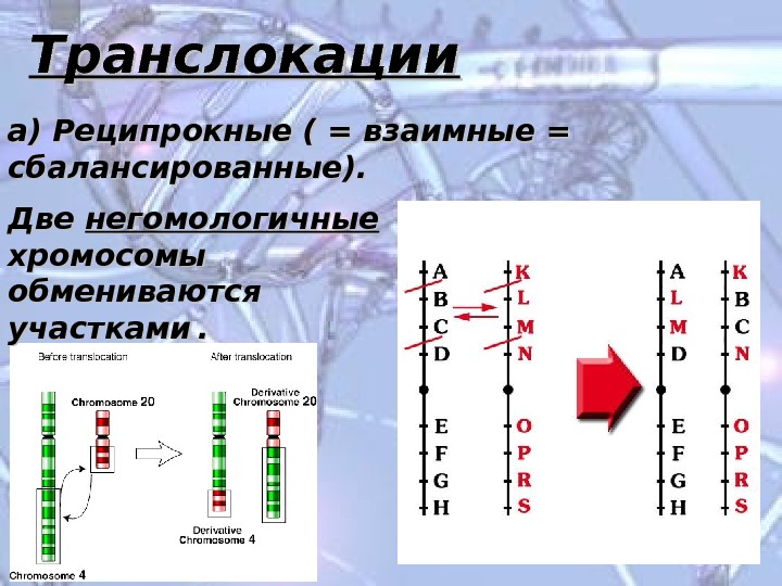 Негомологичные хромосомы. Транслокация хромосомная мутация реципрокные. Транслокация хромосом схема. Реципрокная сбалансированная транслокация. Реципрокная и робертсоновская транслокация.