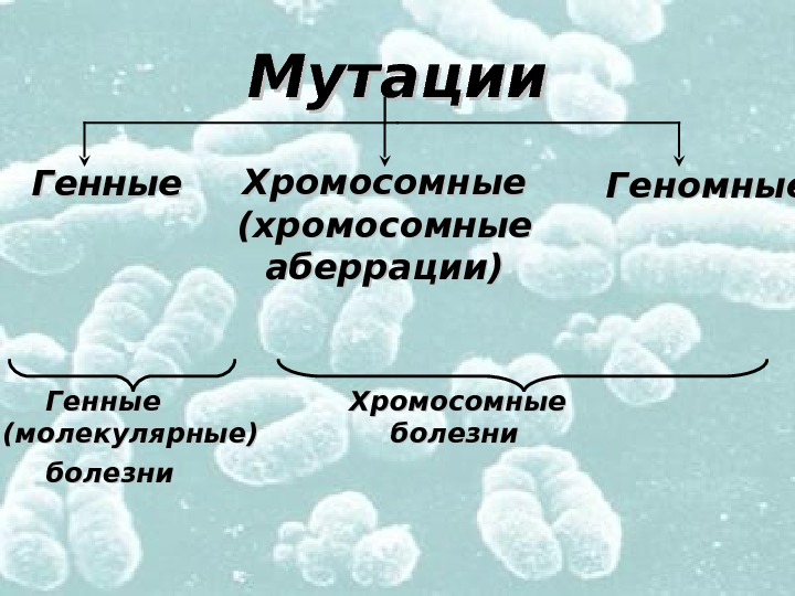 Хромосомные аберрации