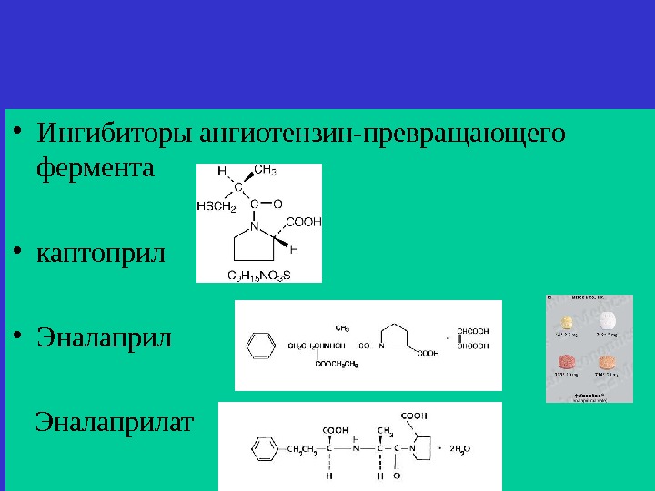 Ингибиторы ангиотензинпревращающего фермента препараты