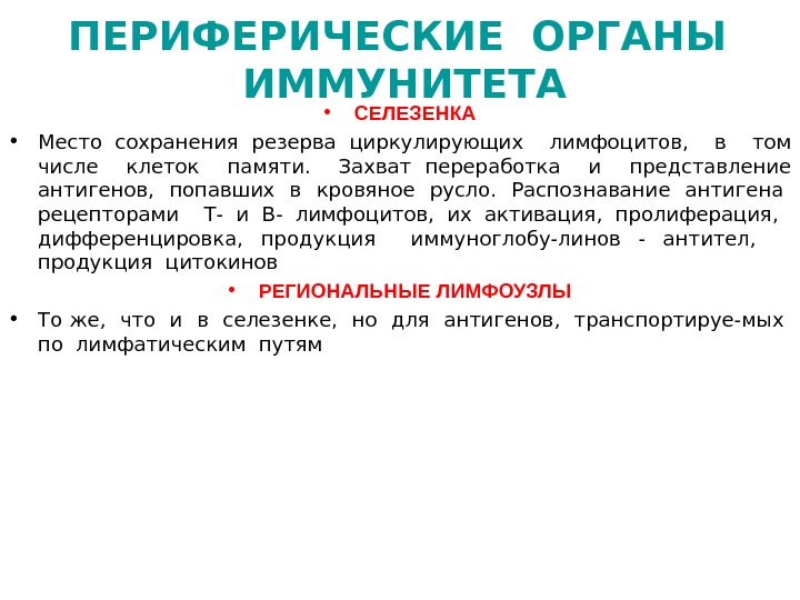 Периферические органы иммунной системы. Периферические органы иммунитета. Селезенка и иммунитет. Селезенка как периферический орган иммунной системы.