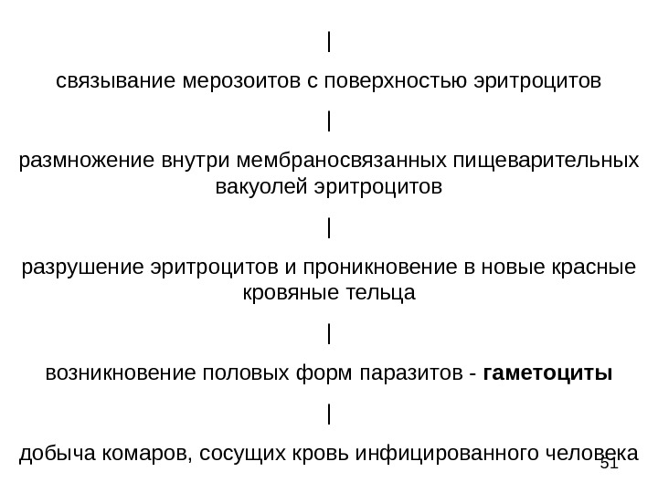 Размножение эритроцитов. Механизм проникновения мерозоита в эритроцит.