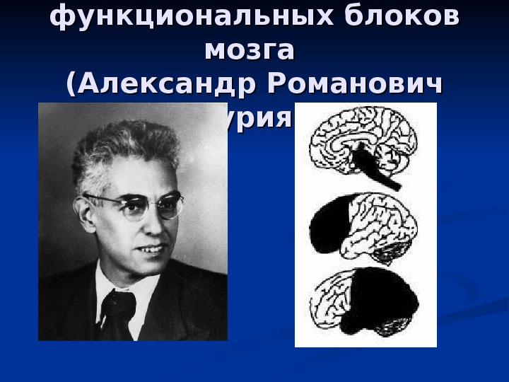 3 блок. Концепция Лурия о трех функциональных блоках мозга. Теория о трех блоках мозга а.р Лурия. Теория функциональных блоков мозга Лурия. Концепция а.р. Лурия блок.