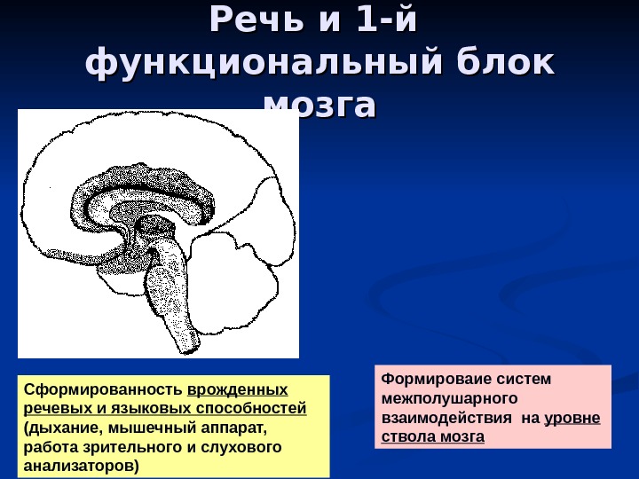 Функциональное взаимодействие основных блоков мозга презентация