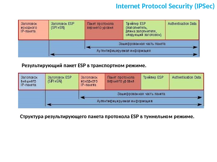 Защита пакетов данных. ESP IPSEC пакет. IPSEC структура пакета. Структура протокола IPSEC. Структура ESP пакета.