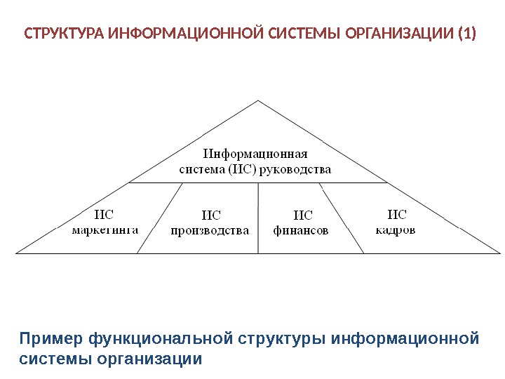 Структура информационной системы примеры