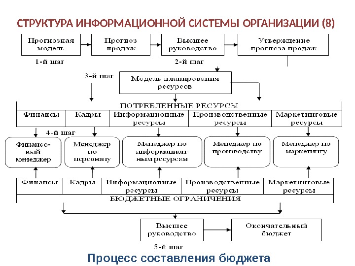 Организационные структуры ис. Структура информационного процесса. Организационная структура информационной системы.