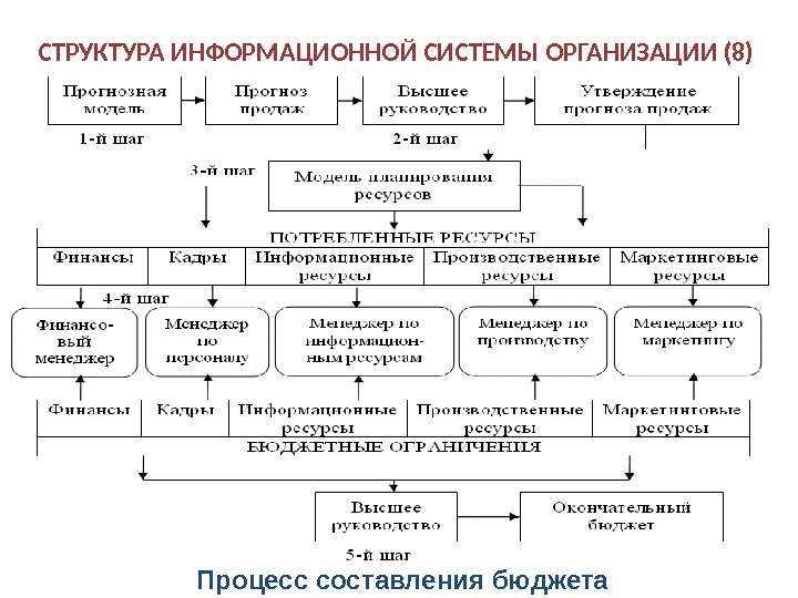 Структура и состав информационных систем. Структура информационного процесса. Организационная структура информационной системы.