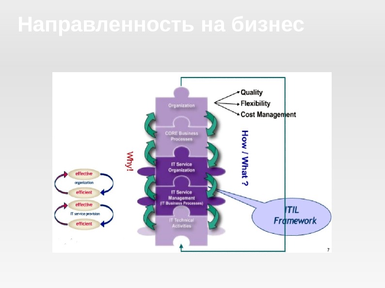 Сьюзан снедакер управление it проектом или как стать полноценным cio