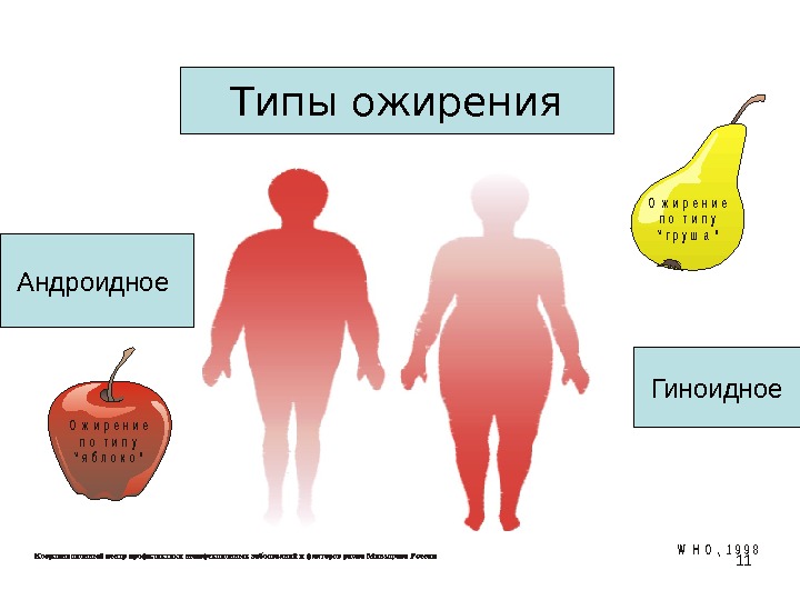 Какие бывают ожирения. Типы ожирения гиноидное и андроидное. Типы ожирения гиноидное. Типы ожирения в зависимости от распределения жировой ткани. Абдоминальное ожирение классификация.