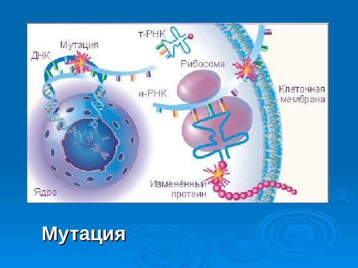 Химический канцерогенез презентация