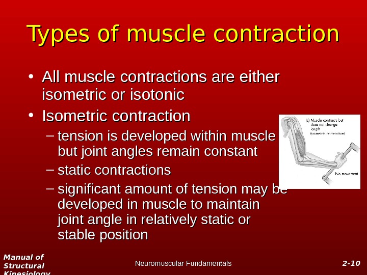 Manual of Structural Kinesiology Neuromuscular Fundamentals 2 -2