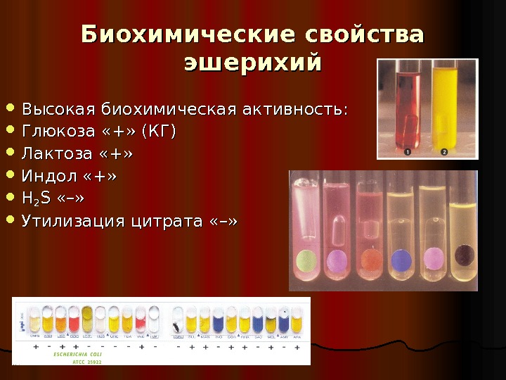 Биохимическую активность