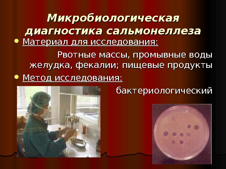 Исследование на сальмонеллез