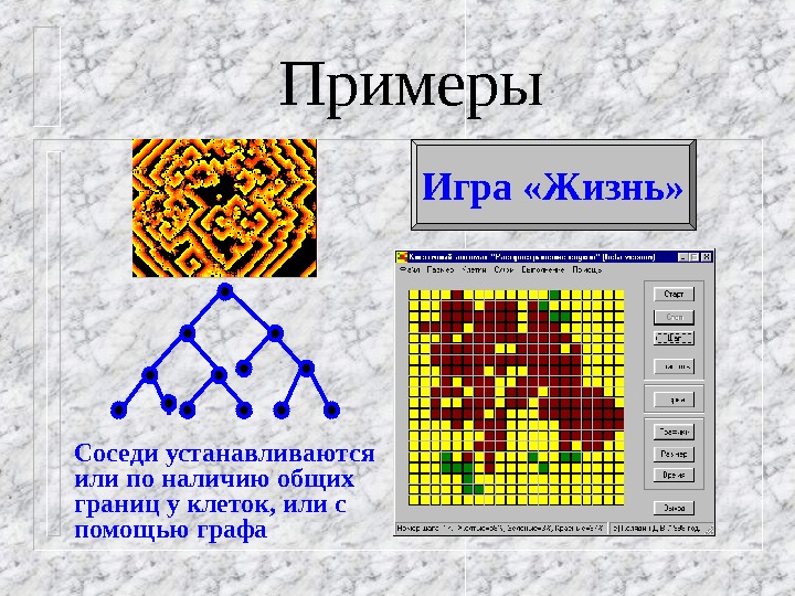 Клеточный автомат. Клеточные автоматы моделирование. Модель клеточного автомата. Клеточные автоматы в биологии.