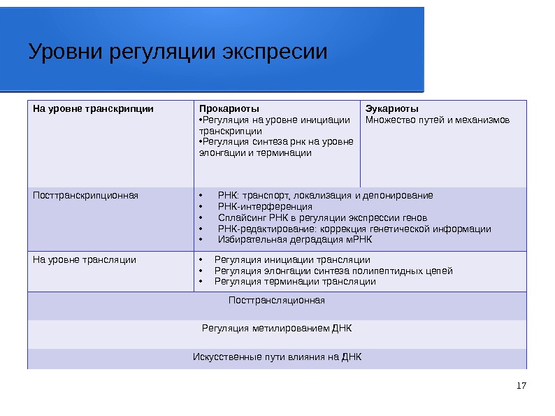 Экспрессия у эукариот и прокариот