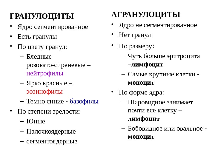 Лейкоциты отличие. Морфофункциональная характеристика агранулоцитов. Функции агранулоцитов. Характеристика агранулоцитов. Гранулоциты и агранулоциты отличия.