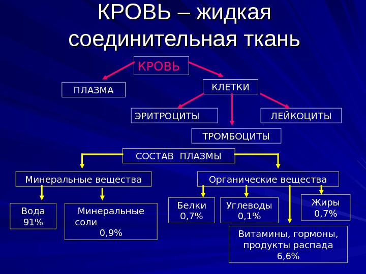 Презентация на тему кровь гистология