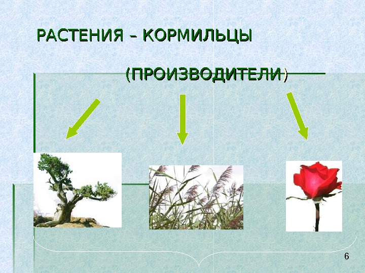 Незамкнутый круговорот веществ характерен для яблоневого сада. Незамкнутый круговорот веществ. Кормилец наш. Для яблоневого сада характерно незамкнутый круговорот. Кормилец машина.