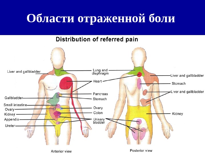 Висцеральная боль