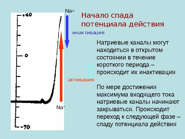 Входящий ток