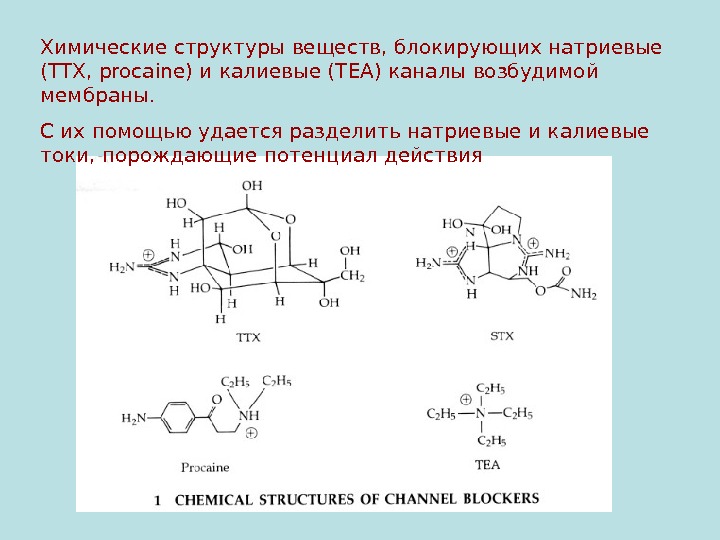 Химическое строение соединений. Прокаин химическая структура. Химическая структура вещества. Натриевые каналы блокируются. Химическая структура натриевых каналов.