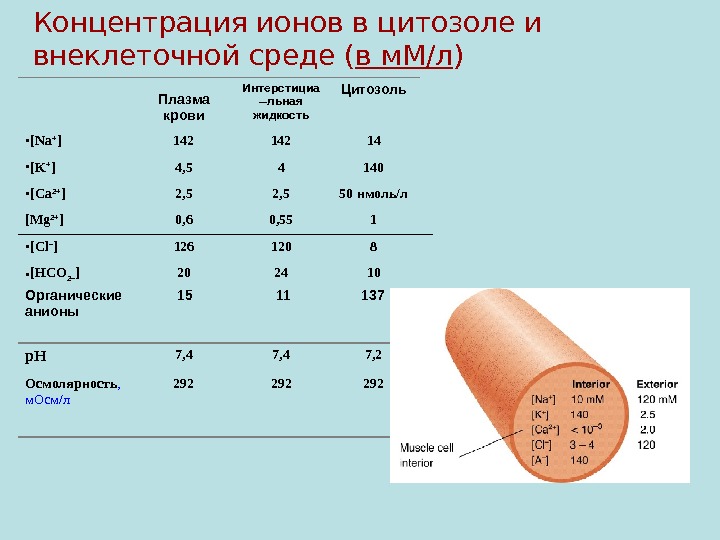 Концентрация ионов в плазме. Концентрация ионов в крови. Концентрация плазмы крови. Ионы плазмы крови.