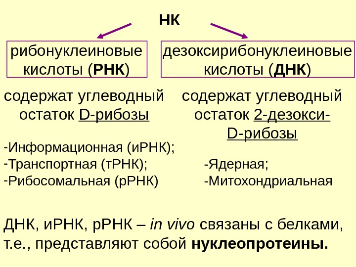 Рибонуклеиновая Кислота Купить В Аптеке